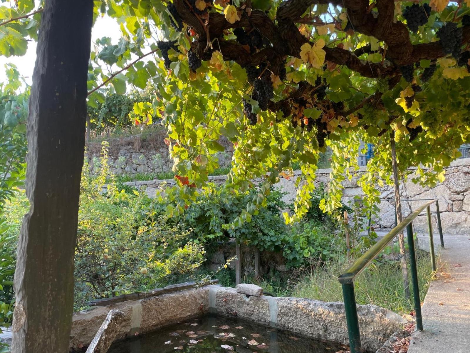 Quintinha De Pinouco Villa Resende Eksteriør bilde